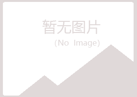 铜川梦魔律师有限公司